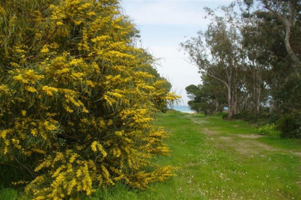 Casa A 300Mt.Dal Mare Calasinzias, 6 Letti, Ac, Pets Welcome, Wi-Fi Free Cala Sinzias エクステリア 写真
